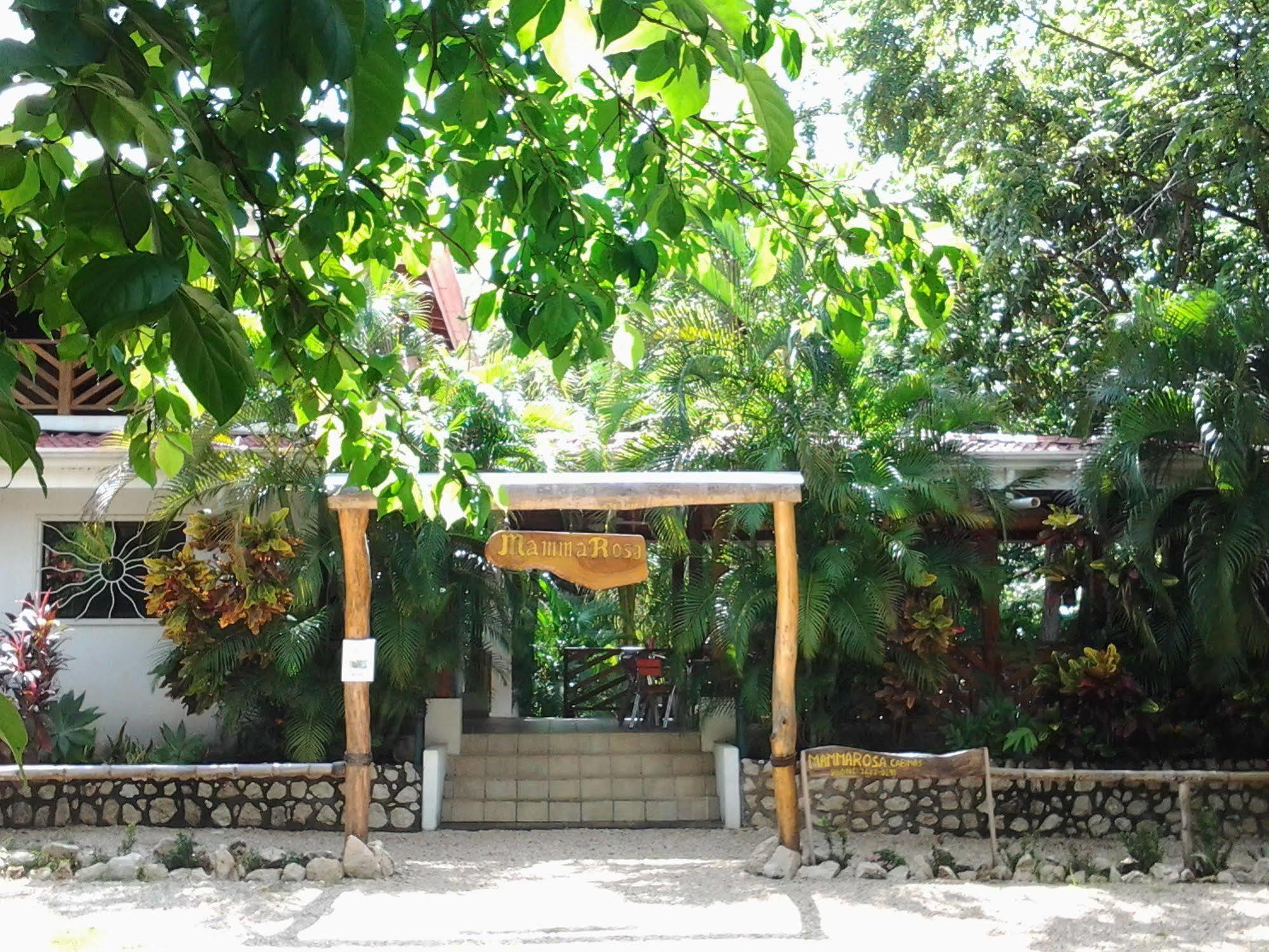 Mamma Rosa Aparthotel Playa Guiones ภายนอก รูปภาพ